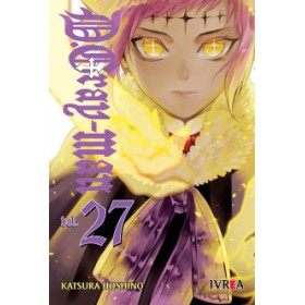 D-Gray Man 27